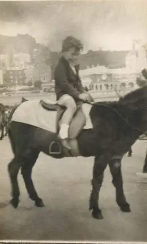 Children scenes & portraits souvenir photo elegant young boy on horseback