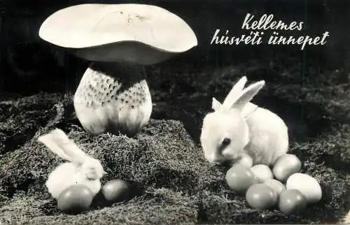 Hungary Kellemes husveti unnepet rabbit mushrooms
