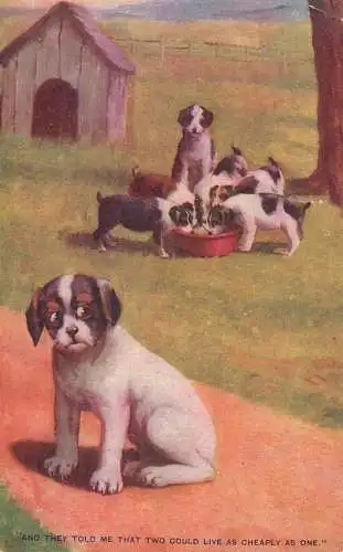 Dogs animals related postcard two could live as cheaply as one