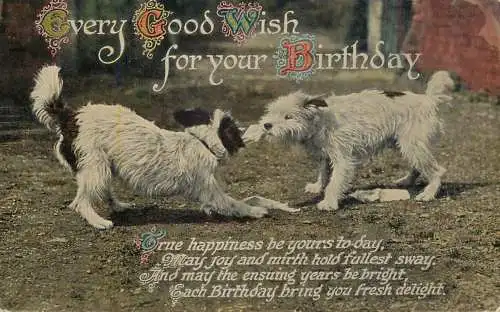 Dogs animals related postcard every good wish for birthday