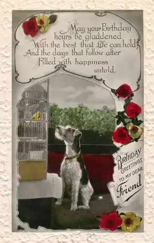 Dogs animals related postcard birthday greetings friend