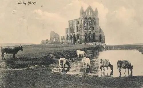 British churches & cathedrals postcard Whitby Abbey