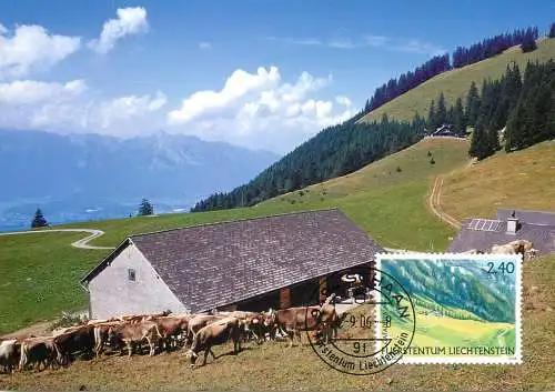 Liechtenstein Gafadura carte maximum