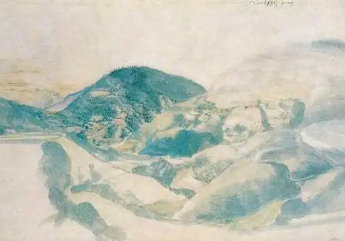 A. Durer - Wehlsch pirg