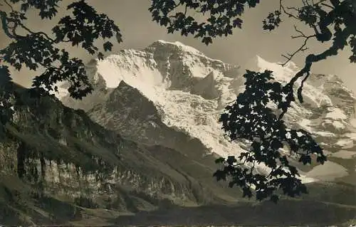 Switzerland Wengen die Jungfrau