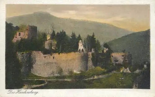 Germany Die Hardenburg castle ruins