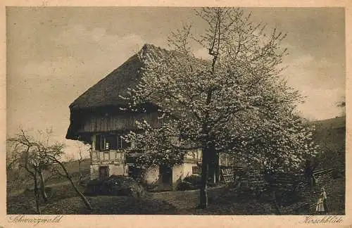 Germany Schwarzwald Kirschblute & Bauernhaus