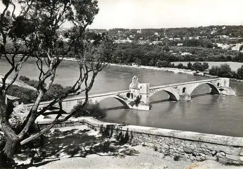 France Avignon Vaucluse le pont Saint Benezet