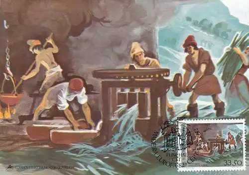 Maxi Card Portugal Madeira painting J.P. Roque