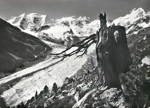 Switzerland Berninagruppe und Morteratschgletscher