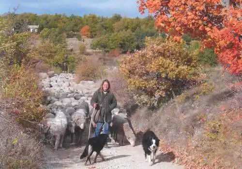 Switzerland sheep heard and keeper