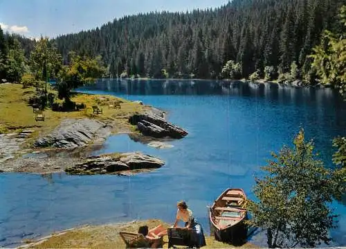 Switzerland mountain lake view
