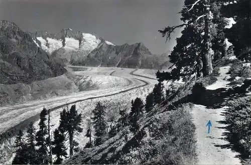 Switzerland Naturschutzgebiet Altschwald