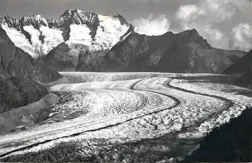 Switzerland blick vom Aletschwald der Grosse