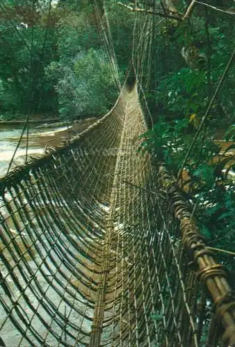 Africa Gabon le pont de lianes de Poubara 1982