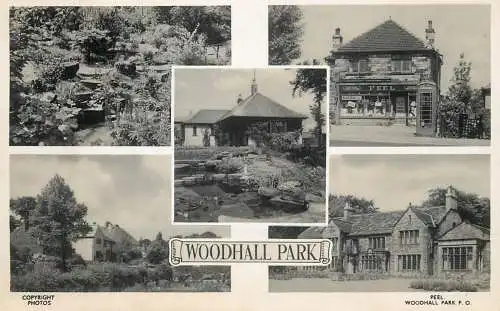 United Kingdom England  Woodhall park