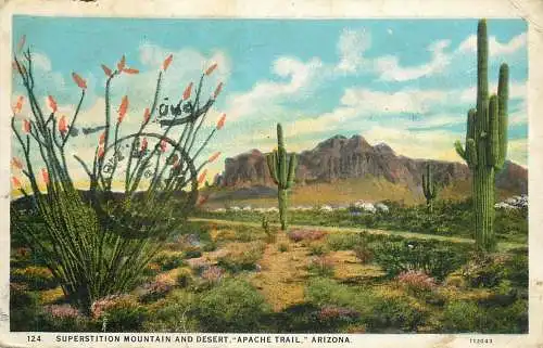 USA "Apache Trail"  AZ Superstition Mountain and desert view