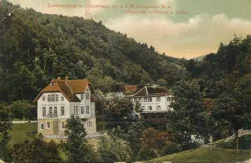 Germany postcard Lierbachtal b. Oppenau