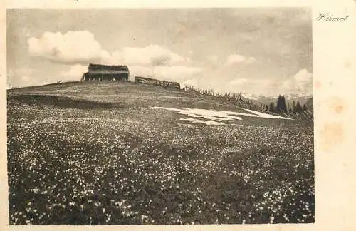 Switzerland postcard Heimat flower field