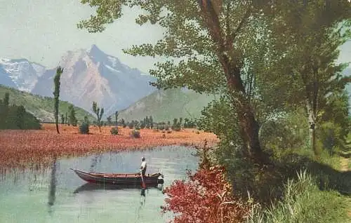 Switzerland postcard flower field lake rowboat