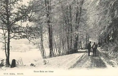 Switzerland postcard Sous Bois en hiver