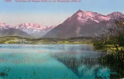 Switzerland postcard Thunersee mit Niesen und Bluemlisalp