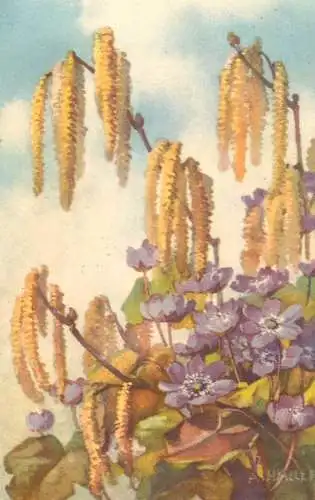 Switzerland postcard flower painting