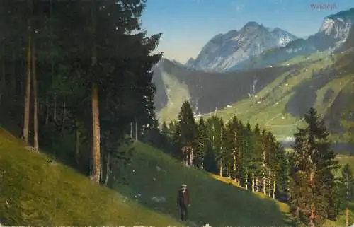 Switzerland postcard Waldidyll forest scene