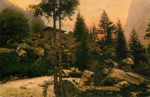 Switzerland postcard im Hochgebirge 1908 forest cottage