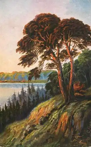 Switzerland postcard rural landscape painting