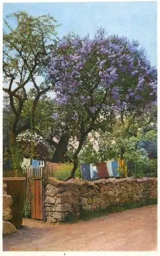 Switzerland postcard rural landscape clothes drying and lavander
