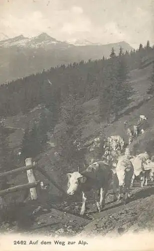 Switzerland postcard auf dem Weg zur Alp