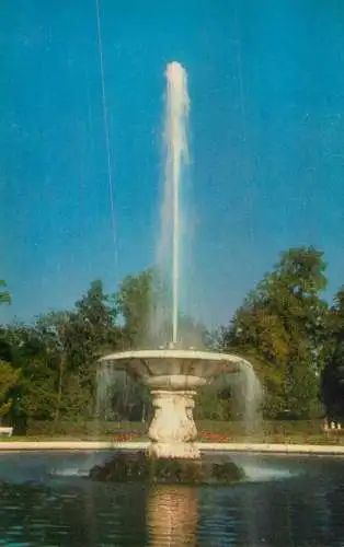 Russia St Petersburg Petrodvorets - Great Fountain
