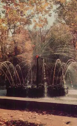 Russia St Petersburg Peterhof - fountain