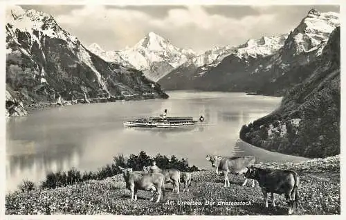 Switzerland postcard am Urnersee der Bristentock