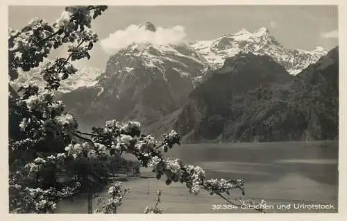 Switzerland postcard Gitschen und Urirotstock