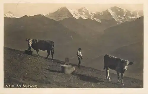 Switzerland postcard bei Beatenberg