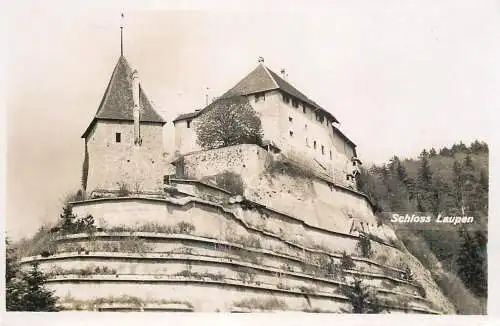 Switzerland postcard schloss Laupen