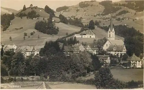 Switzerland postcard Nesslau Feldbatterie St Gallen