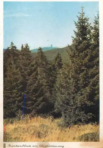 Germany bruckenblick am Glashuttenberg