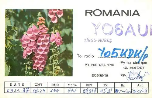 Romania radio amateur QSL card Y06AUI Targu Mures  Cluj Napoca Y05KDK