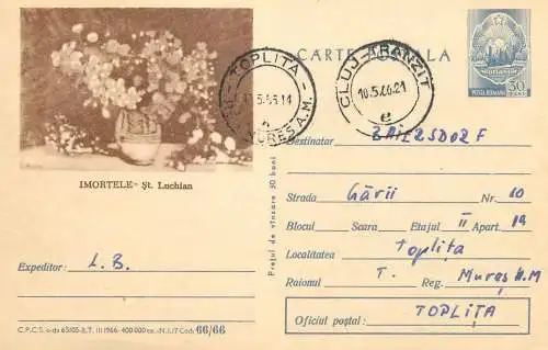 Romania postal stationery postcard pictura Imortele St. Luchian