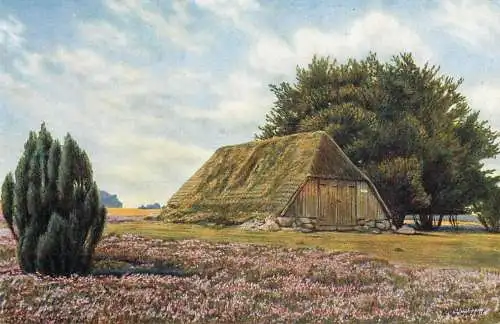 Germany Aus dem Naturschutzpark Luneburger Heide Schafstall