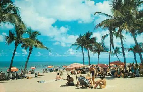 USA Florida beach littoral types and scenes, coconut palm trees