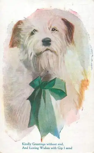 Dog caricature friendship greetings vintage postcard