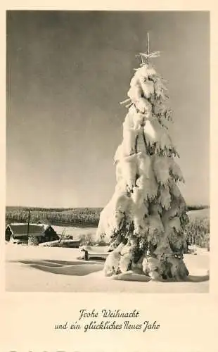 Winter Holidays Greetings snow-covered Christmas tree