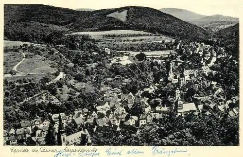 Germany Eppstein/Taunus panoramic view