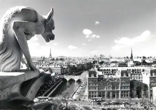 France Paris La Gargouille de Notre Dame & vue panoramique de la ville