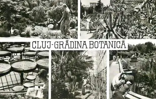 Romania Cluj-Napoca Gradina Botanica diverse aspecte si imagini