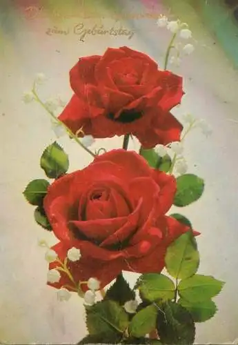 Birthday greetings red roses photo